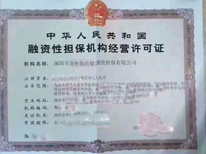 專業(yè)公司注冊代理與融資租賃、商業(yè)保理服務(wù)的核心價值